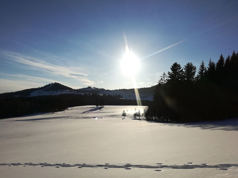 Winterlandschaft mit Sonnenschein.